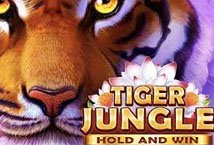 Tiger Jungle Hold and Win slot